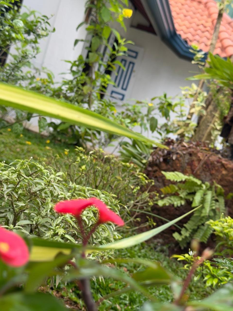 The Residence Bentota Exterior photo
